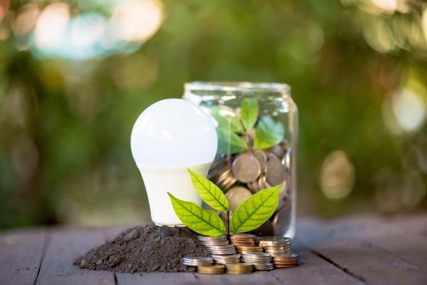 Lightbulb, jar of coins and a plant