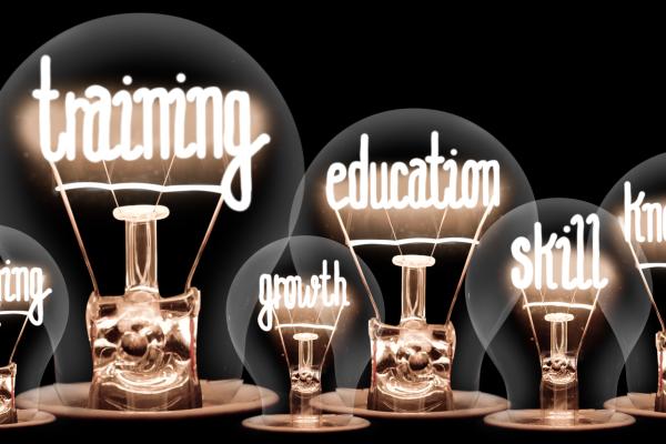 Lightbulbs showing words in the filaments such as "training" "skills" "education"
