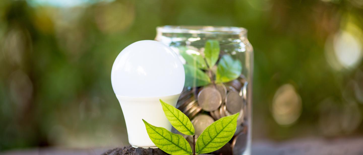 Lightbulb, jar of coins and a plant