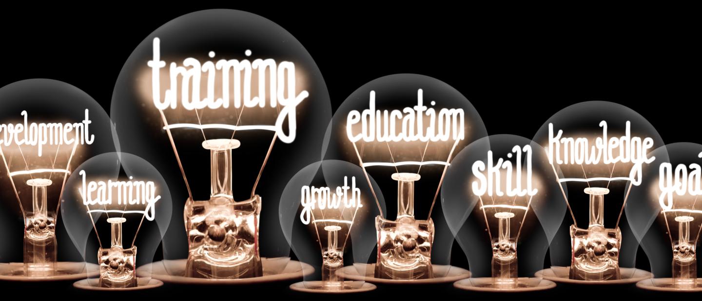 Lightbulbs showing words in the filaments such as "training" "skills" "education"